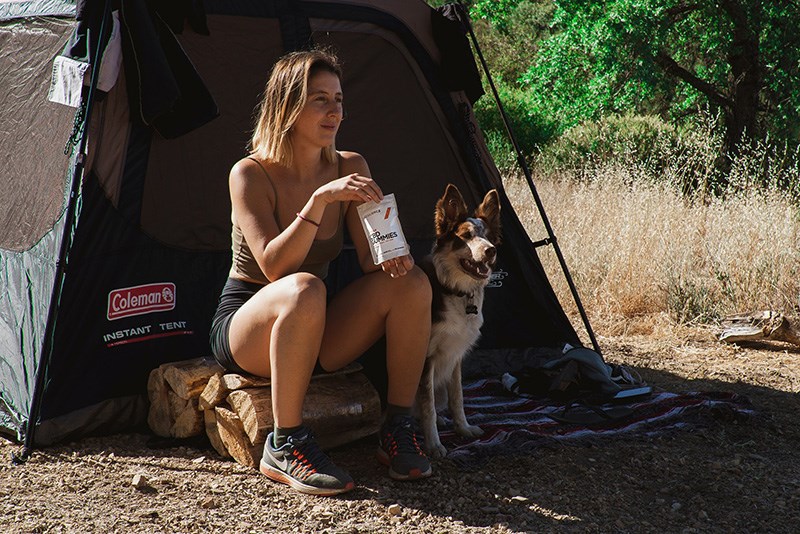 Hond op de camping